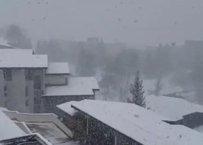 En By Malaga Planners