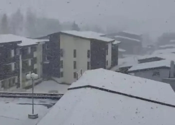 En By Malaga Planners Apartament